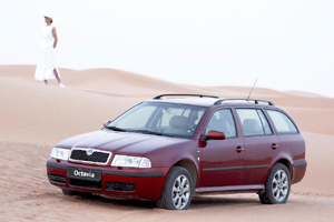 Ankauf Skoda